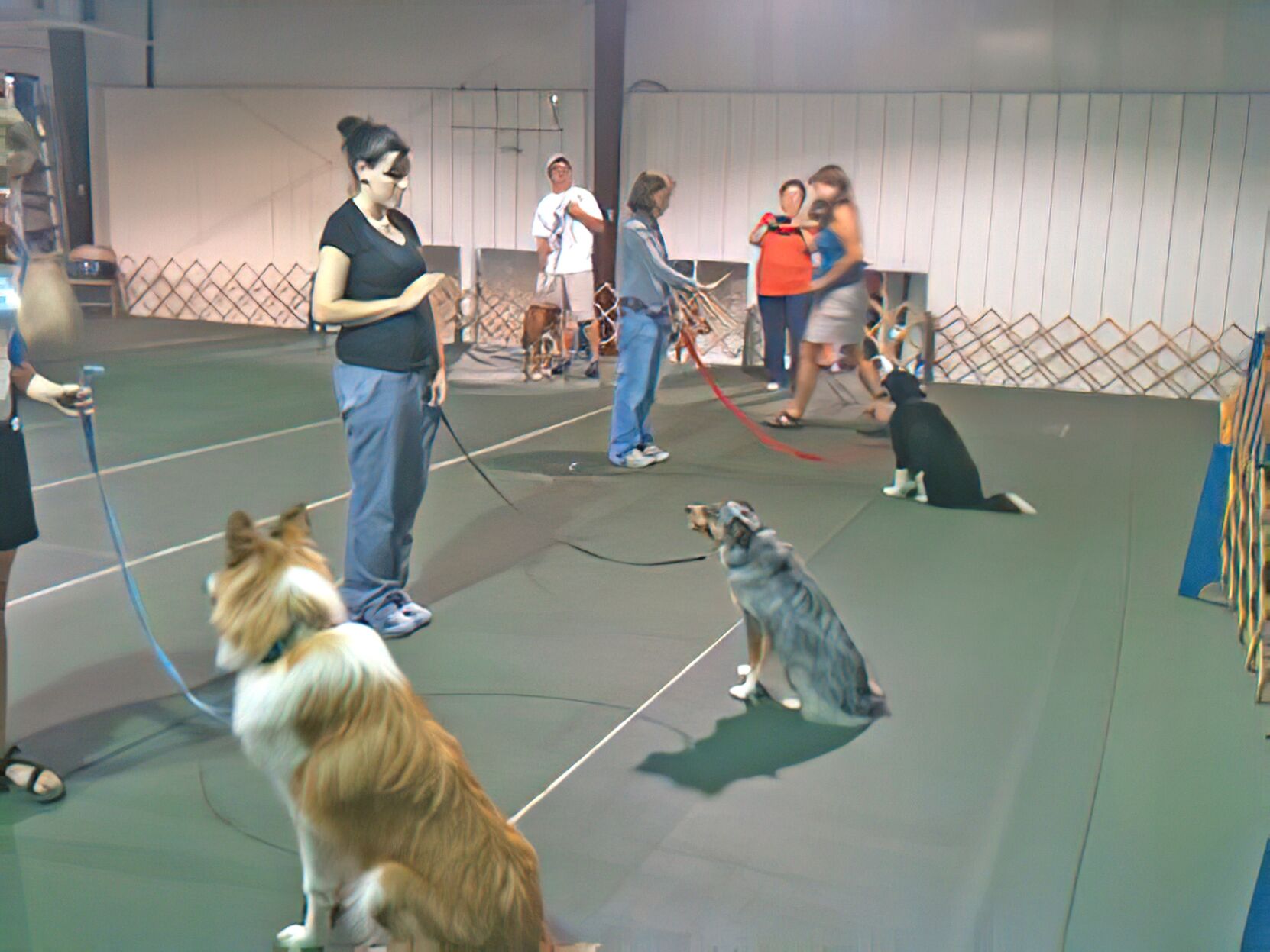 Dog classes offered